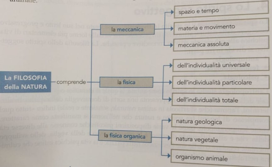 hegel natura struttura